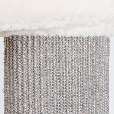 CanadianCat Company Krabpaal Maine Coon Ottawa beige