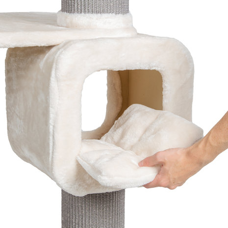 CanadianCat Company Krabpaal Maine Coon Ottawa beige