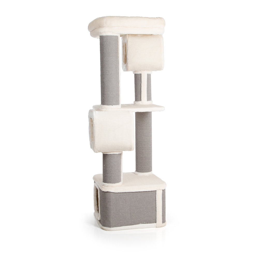 CanadianCat Company Krabpaal Maine Coon Ottawa beige