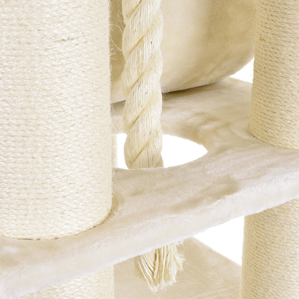 CanadianCat Company Krabpaal Maine Coon Victoria beige