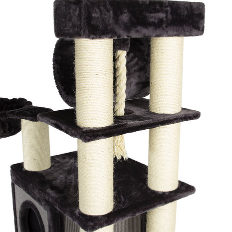 CanadianCat Company Krabpaal Maine Coon Victoria antraciet