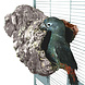 Happy Bird Kurktunnel Large Happy Bird Kurktunnel Large