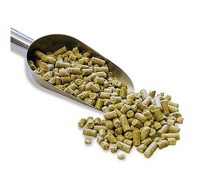 Wagner Pellets voor Papegaai Small