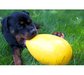 Dog Comets Jolly Egg 20 cm