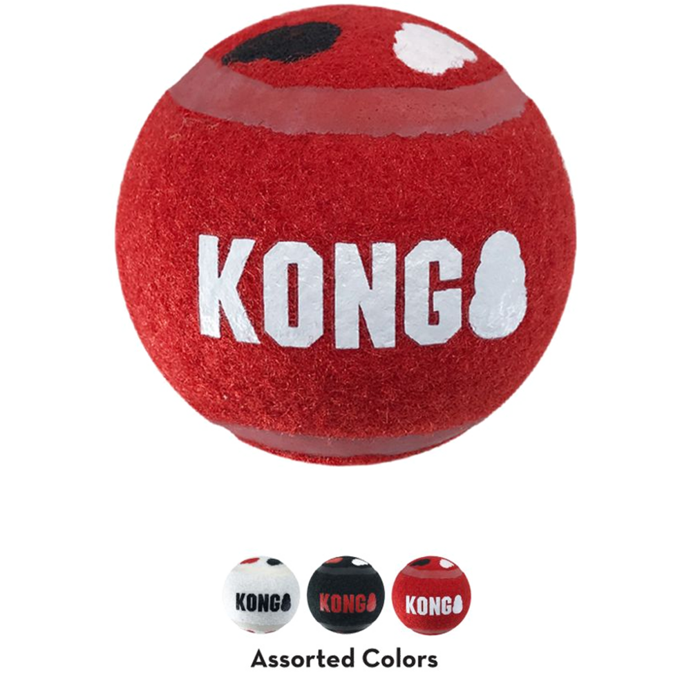 KONG Stuiterballen