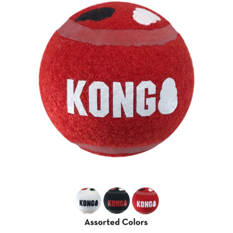 KONG Stuiterballen