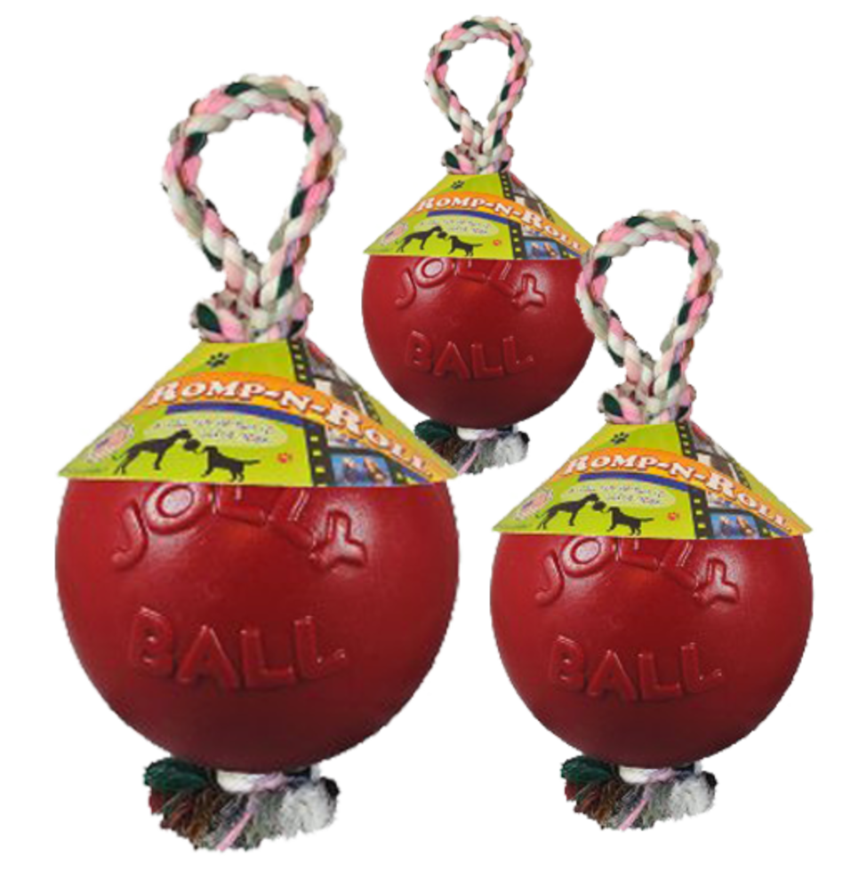 Jolly Pets Ball Romp'n Roll