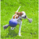 Jolly Pets Ball Romp'n Roll Jolly Pets Ball Romp'n Roll