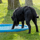 CoolPets Splash Pool Sproeier CoolPets Splash Pool Sproeier