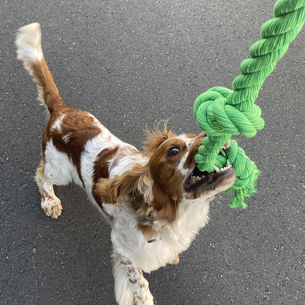 EBI Speeltouw 5 knopen XXXXXL EBI Speeltouw 5 knopen XXXXXL