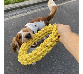 EBI Bite Me Gevlochten Ring EBI Bite Me Gevlochten Ring