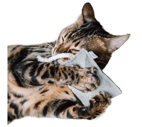 CanadianCat Company Catnip Knuffelkussen grijs CanadianCat Company Catnip Knuffelkussen grijs