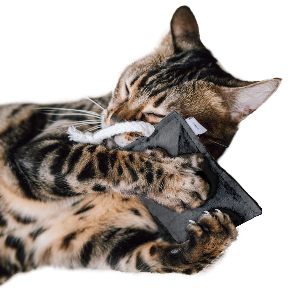 CanadianCat Company Catnip Knuffelkussen antraciet