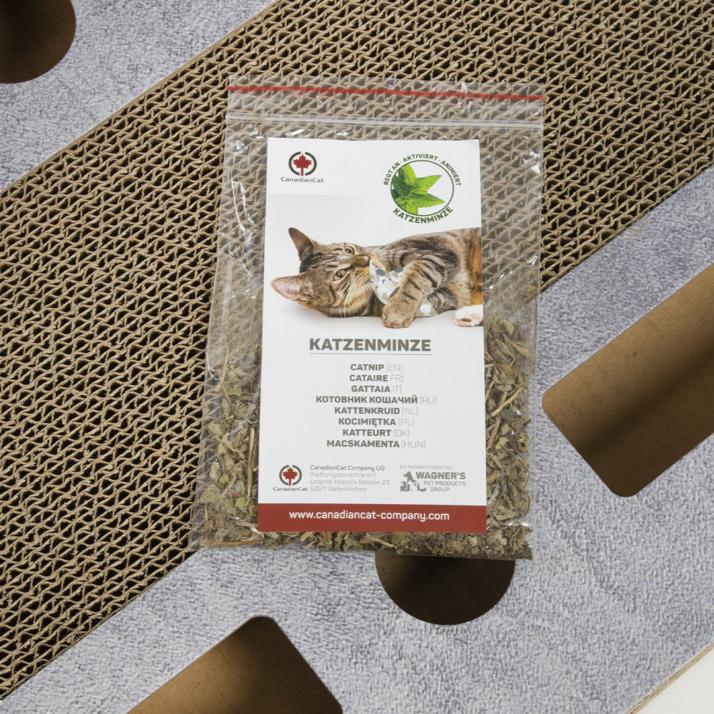 CanadianCat Company Kartonnen Krabkarton XL grijs CanadianCat Company Kartonnen Krabkarton XL grijs