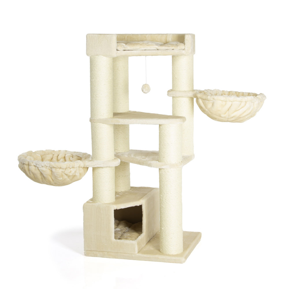 CanadianCat Company Krabpaal Maine Coon Vancouver beige