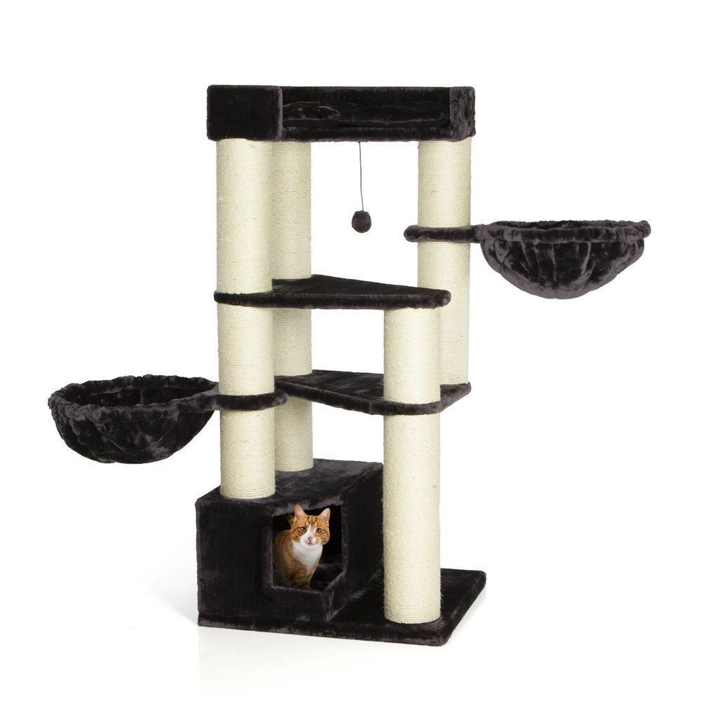 CanadianCat Company Krabpaal Maine Coon Vancouver antraciet