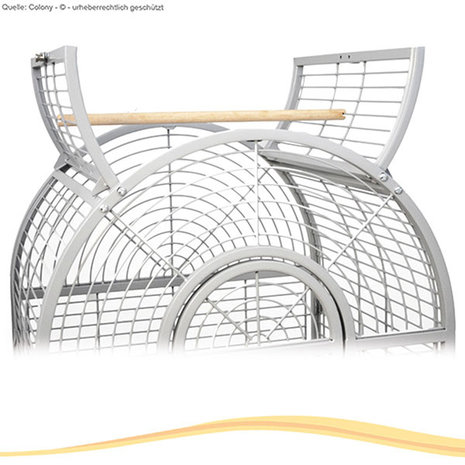 Montana Papegaaienkooi Haiti platinum