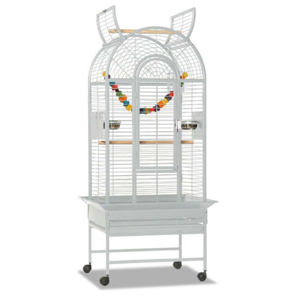 Montana Papegaaienkooi Haiti platinum