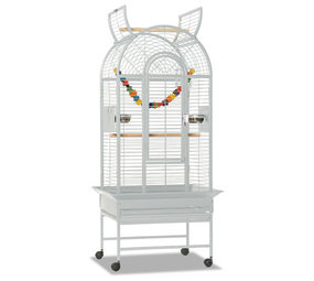 Montana Papegaaienkooi Haiti platinum