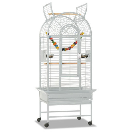 Montana Papegaaienkooi Haiti platinum