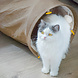 CanadianCat Company Kattentunnel Maine Coon beige 70 cm CanadianCat Company Kattentunnel Maine Coon beige 70 cm