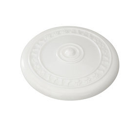 EBI Rubber Frisbee met Vanille Smaak wit EBI Rubber Frisbee met Vanille Smaak wit