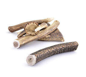 Duvo+ Herten Gewei Full Chew Duvo+ Herten Gewei Full Chew