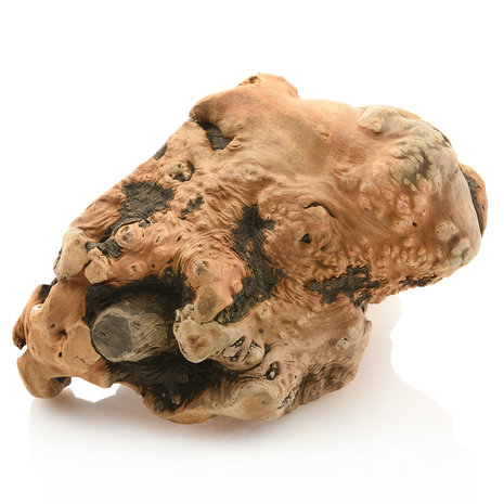 Larsson Farm Heideboom Wortels Kauwsnack