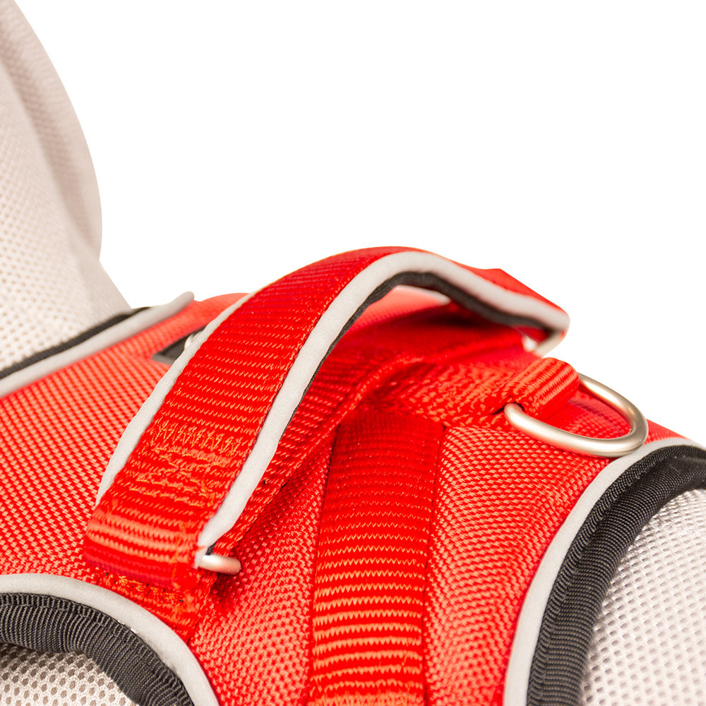 Explor West Harnas Nylon rood