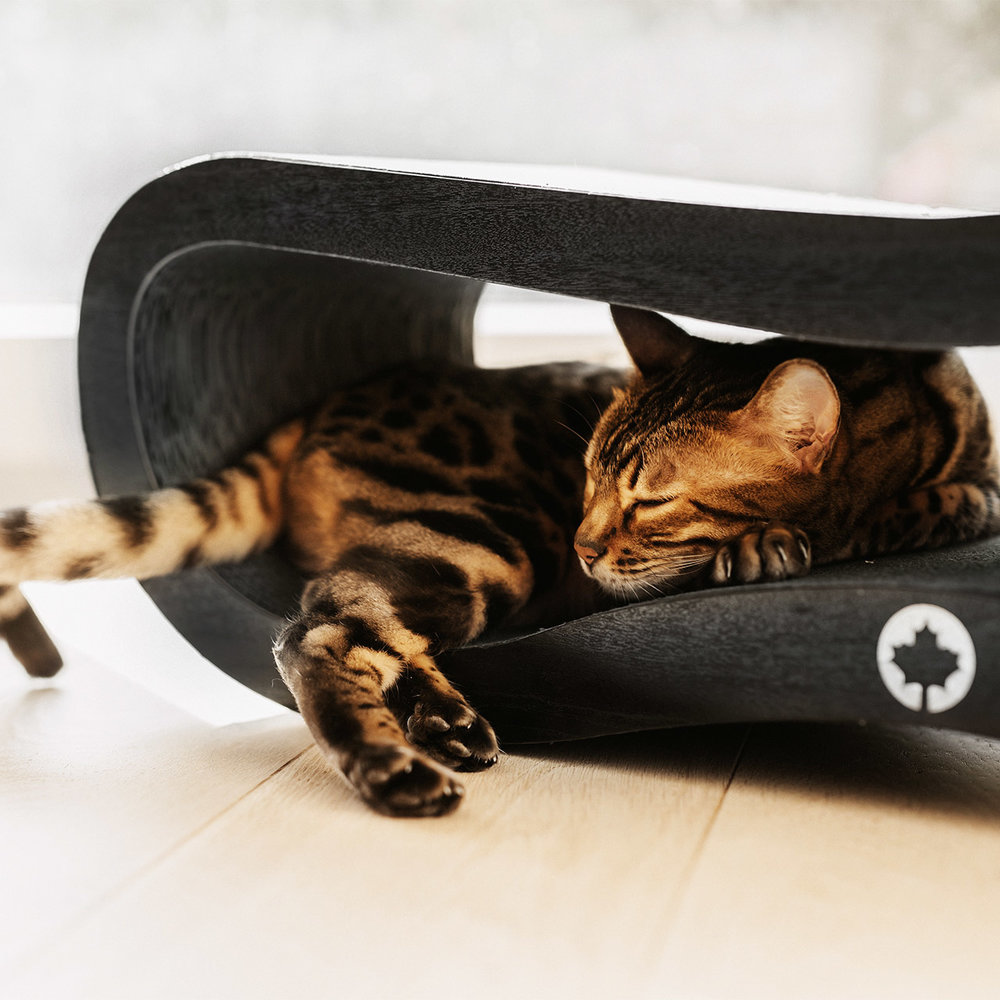CanadianCat Company Krabmeubel Orbit black edition