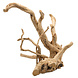 EBI Driftwood Gepolijst Hout uit Azië EBI Driftwood Gepolijst Hout uit Azië