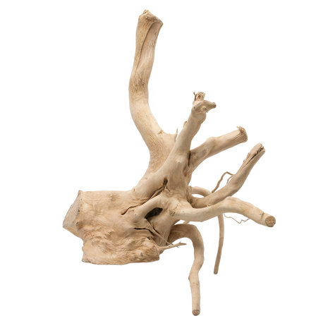 EBI Driftwood Gepolijst Hout uit Azië EBI Driftwood Gepolijst Hout uit Azië