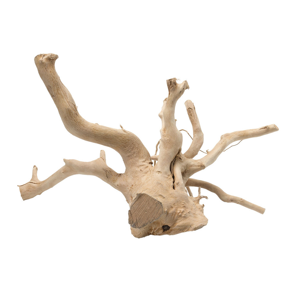 EBI Driftwood Gepolijst Hout uit Azië EBI Driftwood Gepolijst Hout uit Azië