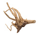 EBI Driftwood Gepolijst Hout uit Azië EBI Driftwood Gepolijst Hout uit Azië