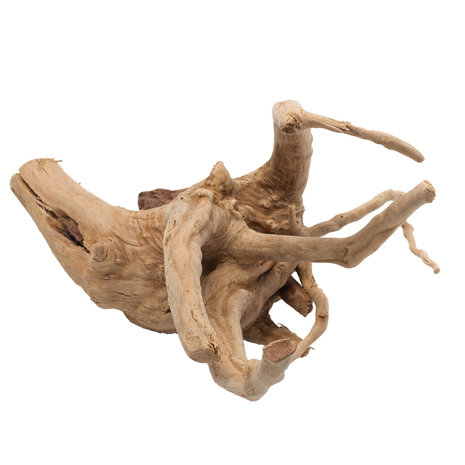 EBI Driftwood Gepolijst Hout uit Azië EBI Driftwood Gepolijst Hout uit Azië