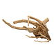 EBI Driftwood Gepolijst Hout uit Azië EBI Driftwood Gepolijst Hout uit Azië