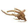 EBI Driftwood Gepolijst Hout uit Azië EBI Driftwood Gepolijst Hout uit Azië