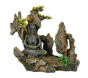 Aqua Della Buddha op Berg