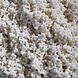 Aqua Della Aquarium Grind Beach 1-2 mm Aqua Della Aquarium Grind Beach 1-2 mm