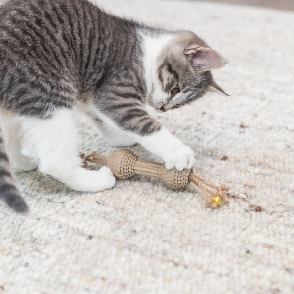 Trixie Kattenspeeltje Karton Halter