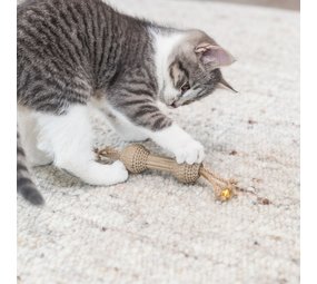 Trixie Kattenspeeltje Karton Halter