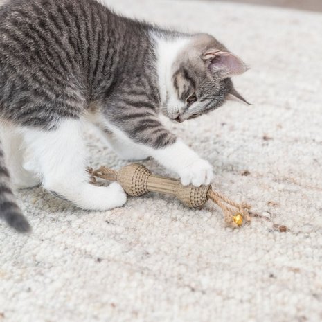 Trixie Kattenspeeltje Karton Halter