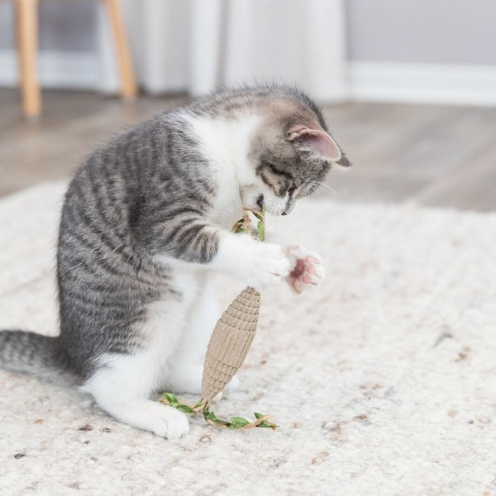 Trixie Kattenspeeltje Karton Rugbybal
