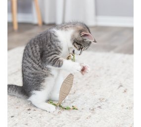 Trixie Kattenspeeltje Karton Rugbybal