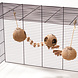 EBI Coconut GlobeHouse met Ladder met touw EBI Coconut GlobeHouse met Ladder met touw