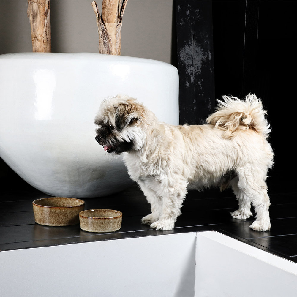 D&D Trendy Eetkom Jasper sand