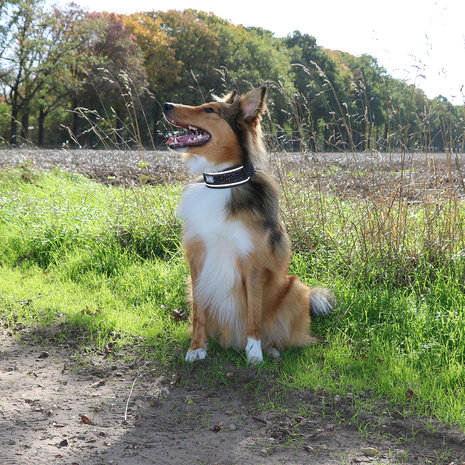 Duvo+ Ultimate Fit Control Halsband Granite Black