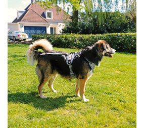 Duvo+ Ultimate Fit No-Pull Harnas grey Duvo+ Ultimate Fit No-Pull Harnas grey