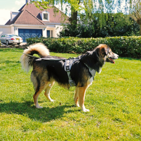 Duvo+ Ultimate Fit No-Pull Harnas grey