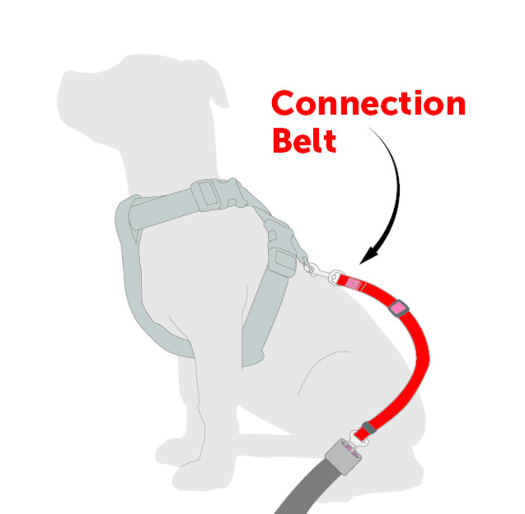 Flamingo Autogordel Zero-Shock Ruka grijs Flamingo Autogordel Zero-Shock Ruka grijs